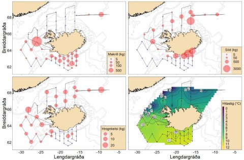 Útbreiðsla og þéttleiki makríls, síldar og hrognkelsa (rauðir fylltir hringir) ásamt hitastigi í yfi…