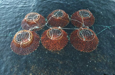 Ljósm. Ása Hilmarsdóttir