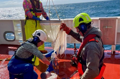 Mynd úr safni Hafrannsóknastofnunar