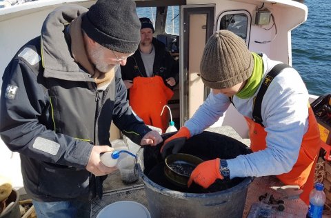 Ljósm. Julian Burgos