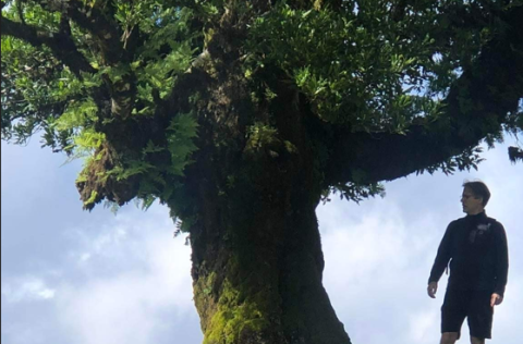 Christophe Pampoulie