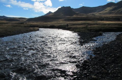 Mynd: Hafrannsóknastofnun