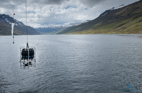 Umhverfismælingar í Arnarfirði, Seyðisfirði, Mjóafirði og Norðfirði.